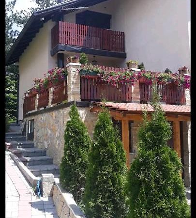 Apartment Niva Ζλάτιμπορ Εξωτερικό φωτογραφία