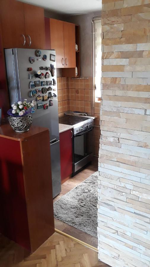 Apartment Niva Ζλάτιμπορ Εξωτερικό φωτογραφία
