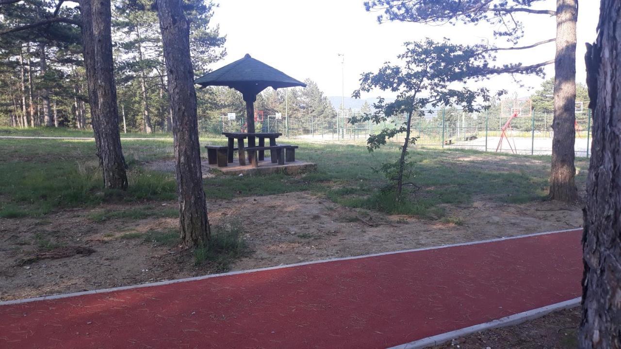 Apartment Niva Ζλάτιμπορ Εξωτερικό φωτογραφία