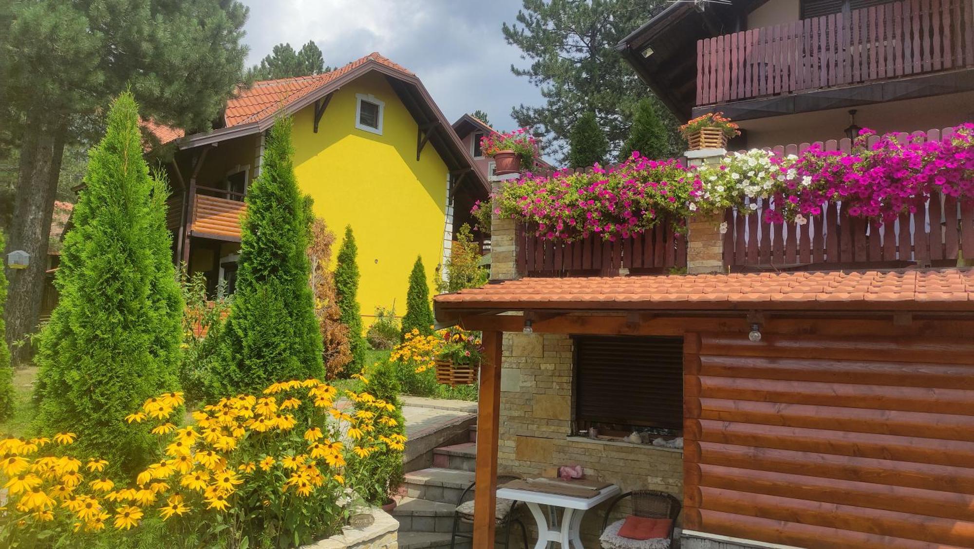 Apartment Niva Ζλάτιμπορ Εξωτερικό φωτογραφία