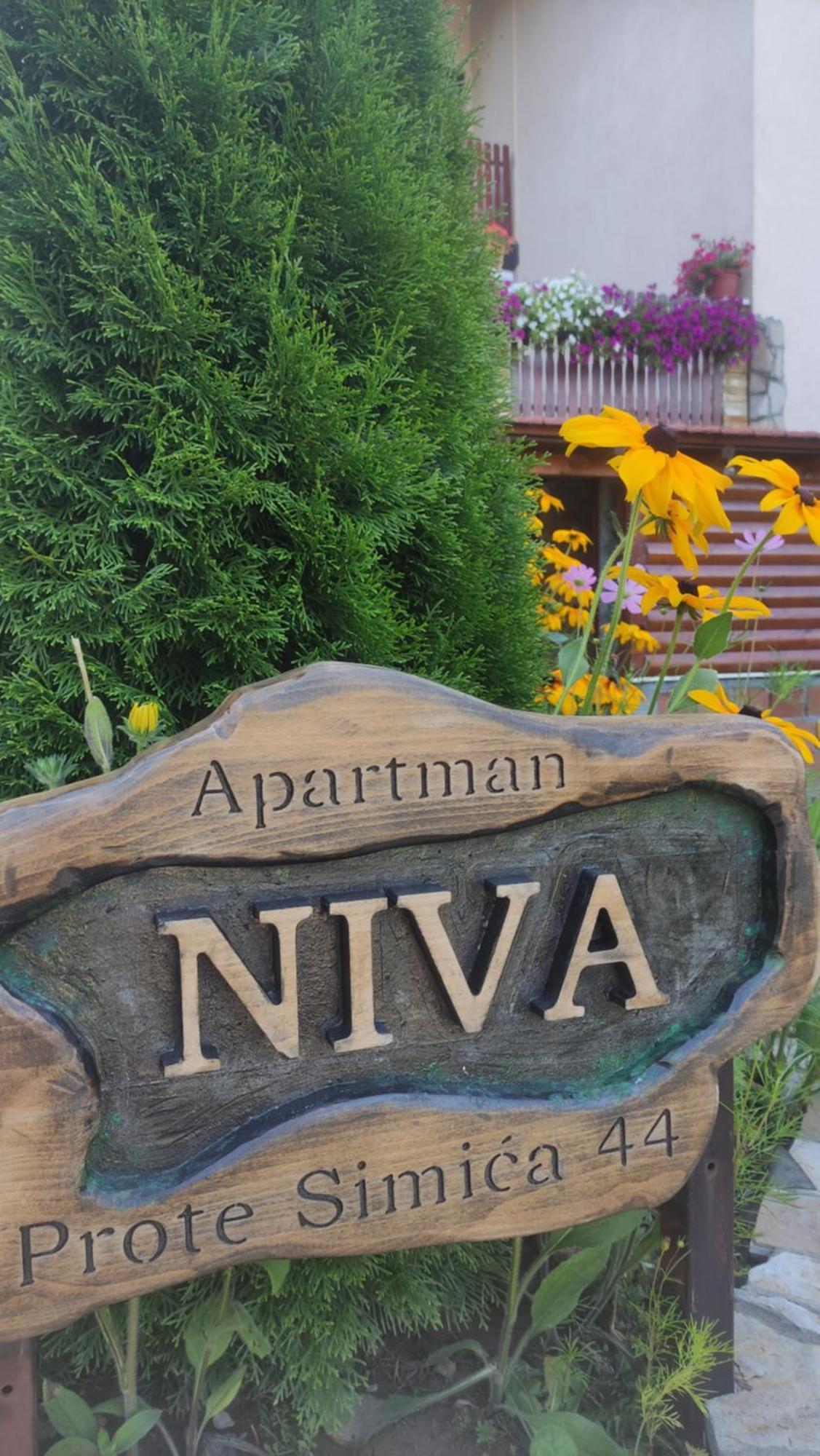 Apartment Niva Ζλάτιμπορ Εξωτερικό φωτογραφία