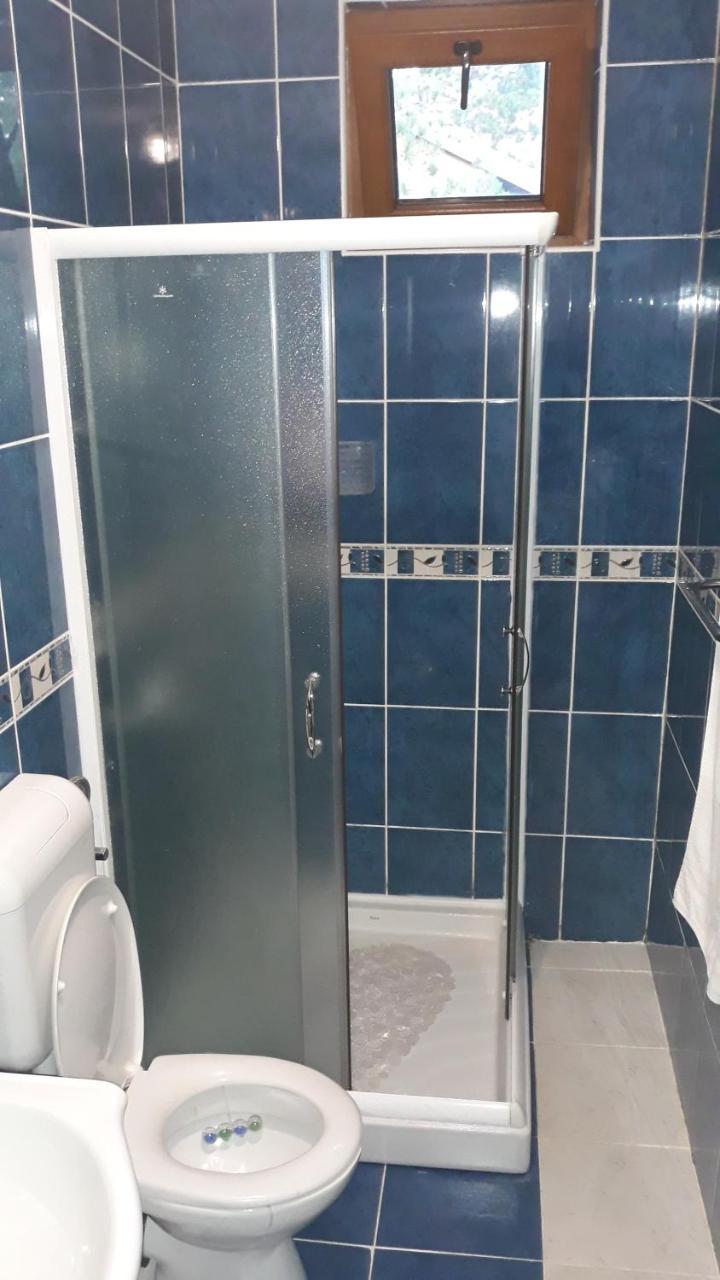 Apartment Niva Ζλάτιμπορ Εξωτερικό φωτογραφία